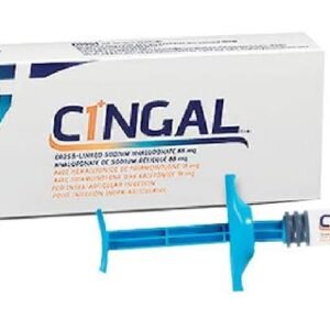 CINGAL® Online